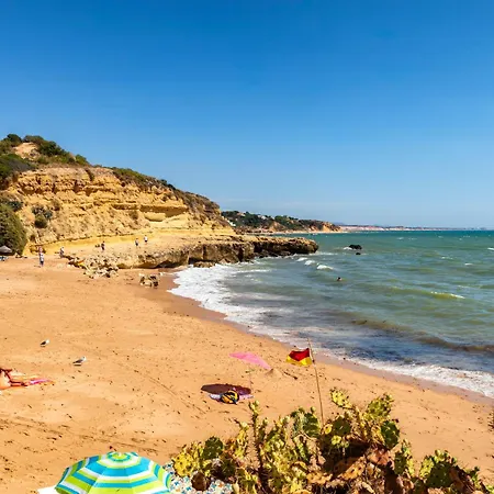Catarino Vila Albufeira